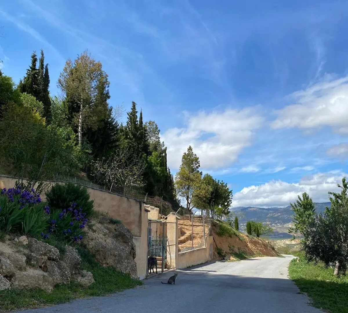 Vivienda Turistica De Alojamiento Rural 